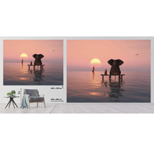Fototapete Vlies HRBP000018 Elefant und Hund 4 5-tlg. 243 x 184 cm