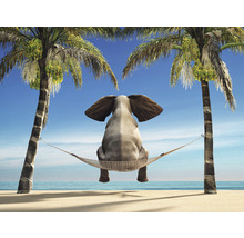 Fototapete Vlies HRBP000019 Elefant in Hängematte 5-tlg. 243 x 184 cm