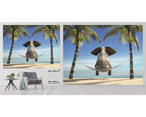 Fototapete mit Elefant in Hängematte zwischen Palmen am Strand, Größenangabe