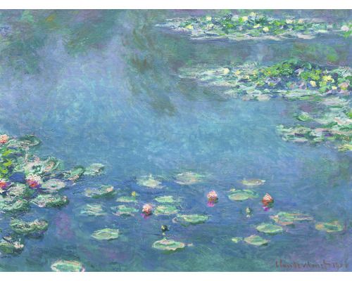 Fototapete Vlies HRBP000036 Monet Seerosen 5-tlg. 243 x 184 cm-0