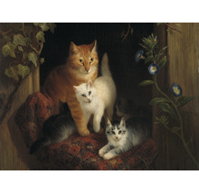 Fototapete Vlies HRBP000045 Henriette Ronner-Knip Katzen 5-tlg. 243 x 184 cm