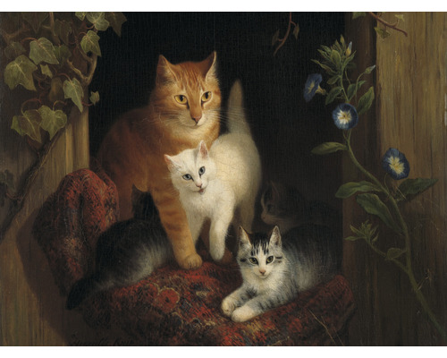 Fototapete Vlies HRBP000045 Henriette Ronner-Knip Katzen 5-tlg. 243 x 184 cm