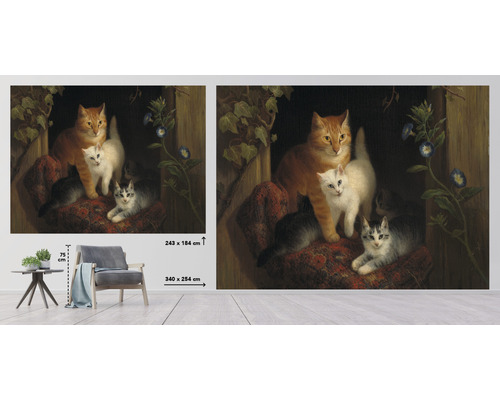 Fototapete mit Katzenmotiv, Abmessungen 340 mal 254 Zentimeter