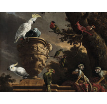 Fototapete Vlies HRBP000047 D'Hondecoeter Menagerie 5-tlg. 243 x 184 cm