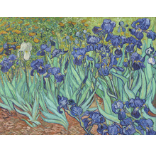 Gemälde von Irisblumen in einem Garten.