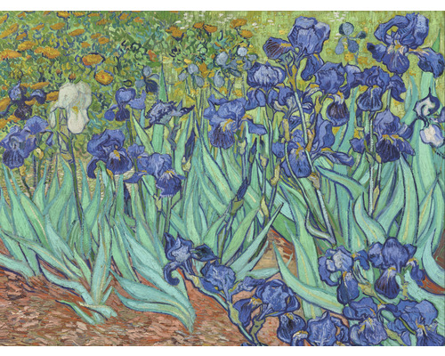 Fototapete Vlies HRBP000051 Van Gogh Schwertlilien 5-tlg. 243 x 184 cm