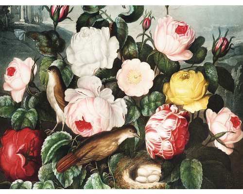 Fototapete Vlies HRBP000076 Thornton Blumen und Vogel 5-tlg. 243 x 184 cm Illustration von Rosenblüten, zwei Vögeln und einem Vogelnest