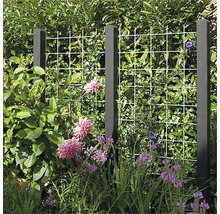 Gartenansicht mit Rankgitter und Pflanzenstützen zur Pflanzenunterstützung