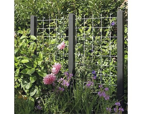 Gartenansicht mit Rankgitter und Pflanzenstützen zur Pflanzenunterstützung