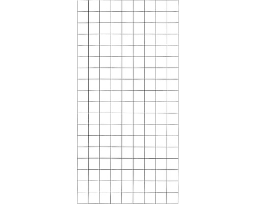 Rankgitter PLUS Stahl 90 x 180 cm Maschenweite 10 x 10 cm mit schwarzem Rand Kariertes Papier für Bastelarbeiten und Planungen