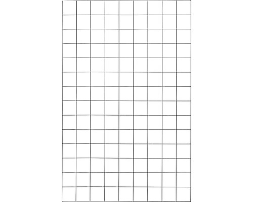 Rankgitter PLUS Stahl 90 x 140 cm Maschenweite 10 x 10 cm mit schwarzem Rand Gitterstruktur für Bauprojekte