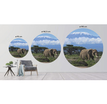 Fototapete Vlies HRBC200082 Kilimanjaro Elefant Ø 190 cm