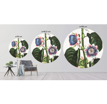 Fototapete Vlies HRBC200078 Thornton Passieflora Ø 190 cm