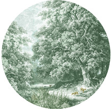 Fototapete Vlies HRBC200068 Hirsche im Wald Ø 190 cm