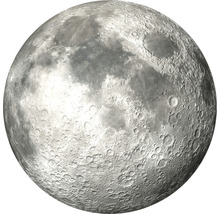 Fototapete Vlies HRBC200062 Mond Ø 190 cm