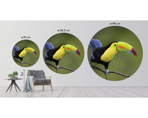 Wandaufkleber mit Tukan-Motiv in drei verschiedenen Größen als Dekorationsbeispiele