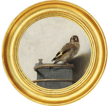 Fototapete Vlies HRBC200054 Carel Fabritius Der Distelfink 2 Ø 190 cm