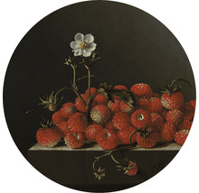 Fototapete Vlies HRBC200053 Adriaen Coorte Stilleben mit Erdbeeren Ø 190 cm