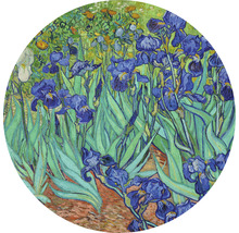 Fototapete Vlies HRBC200051 Van Gogh Schwertlilien Ø 190 cm