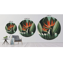 Illustration von runden Wandbildern mit Paradiesvogelblumen in verschiedenen Größen