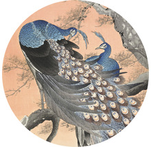 Fototapete Vlies HRBC200033 Japan Pfau Ø 190 cm
