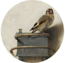 Fototapete Vlies HRBC200031 Carel Fabritius Der Distelfink Ø 190 cm