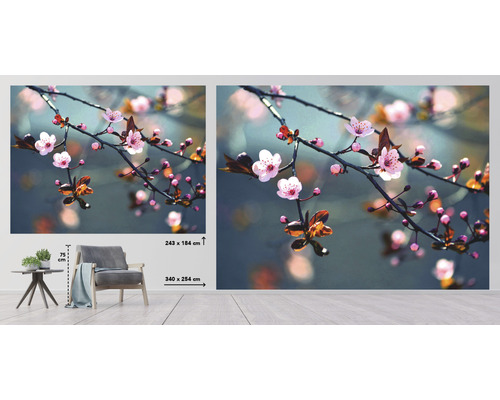 Fototapete mit Kirschblütenmotiv im Raum, Größe 340 mal 254 Zentimeter