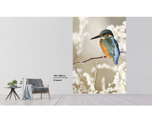 Fototapete mit einem Eisvogel auf einem verschneiten Ast, Größe 194 mal 280 Zentimeter