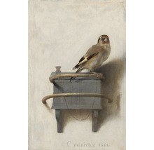 Fototapete Vlies HRBP200031 Carel Fabritius Der Distelfink 4-tlg. 194 x 280 cm