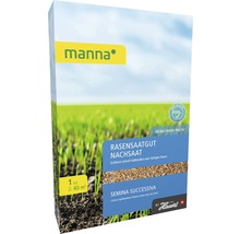 Rasensamen Manna Saat Nachsaatrasen 1 kg 40 m²