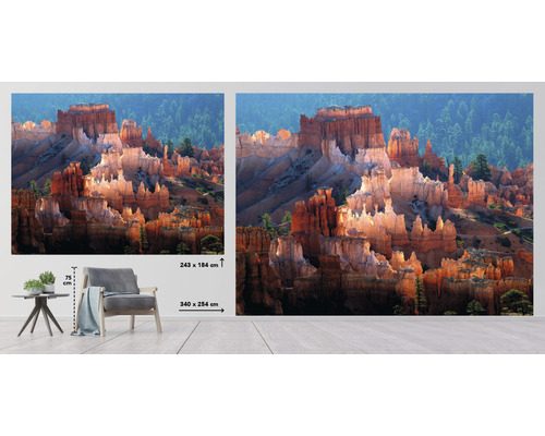 Fototapete mit Felsformationen und Wald im Hintergrund