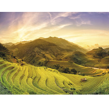 Fototapete Vlies HRBP000083 Mu Chan Chai Vietnam 5-tlg. 243 x 184 cm