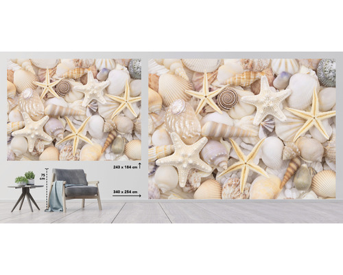 Fototapete mit Muscheln und Seesternen im Wohnzimmer