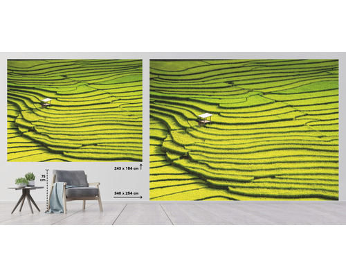 Fototapete mit Reisterrassen Motiv und kleinem Haus