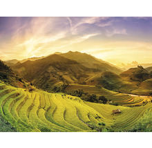 Fototapete Vlies HRBP100083 Mu Chan Chai Vietnam 7-tlg. 340 x 254 cm