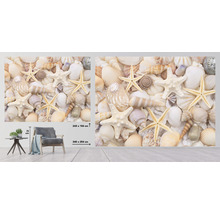Fototapete Vlies HRBP100097 Muschel 7-tlg. 340 x 254 cm