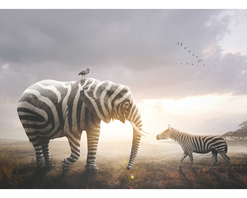 Fototapete Vlies HRBP000090 Zebra Elefant 5-tlg. 243 x 184 cm