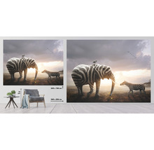Fototapete Vlies HRBP000090 Zebra Elefant 5-tlg. 243 x 184 cm