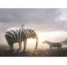 Illustration eines Elefanten mit Zebramuster, einem Vogel auf dem Rücken und einer Zebraherde im Hintergrund.