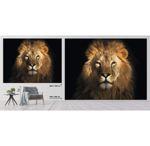 Fototapete Vlies HRBP100001 Löwe 7-tlg. 340 x 254 cm