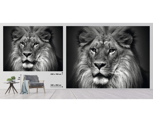 Fototapete mit Löwenkopf im Schwarzweiß-Design, 340 x 254 cm
