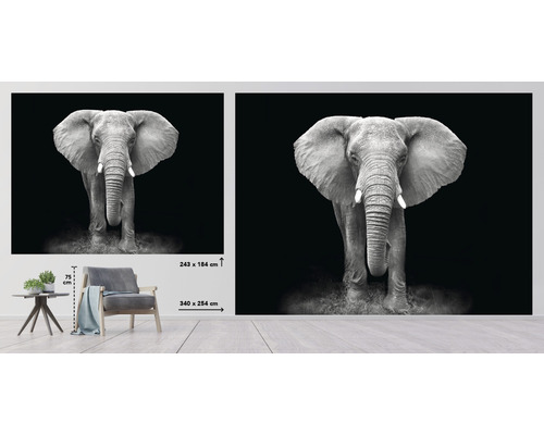 Fototapete mit Elefantenmotiv in Schwarzweiß, Größenangabe