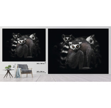 Fototapete Vlies HRBP100008 Lemuren 7-tlg. 340 x 254 cm
