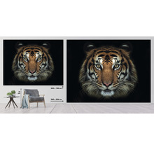 Fototapete Vlies HRBP100009 Tiger 7-tlg. 340 x 254 cm