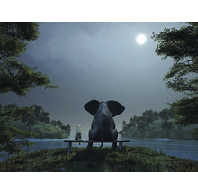 Fototapete Vlies HRBP100015 Elefant und Hund 2 7-tlg. 340 x 254 cm