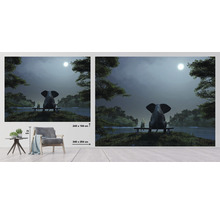 Fototapete Vlies HRBP100015 Elefant und Hund 2 7-tlg. 340 x 254 cm