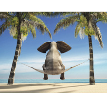 Fototapete Vlies HRBP100019 Elefant in Hängematte 7-tlg. 340 x 254 cm