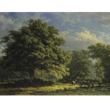 Fototapete Vlies HRBP100044 George Andries Roth Bentheimer Wald 7-tlg. 340 x 254 cm