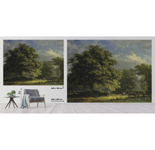 Fototapete Vlies HRBP100044 George Andries Roth Bentheimer Wald 7-tlg. 340 x 254 cm