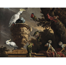 Fototapete Vlies HRBP100047 D'Hondecoeter Menagerie 7-tlg. 340 x 254 cm